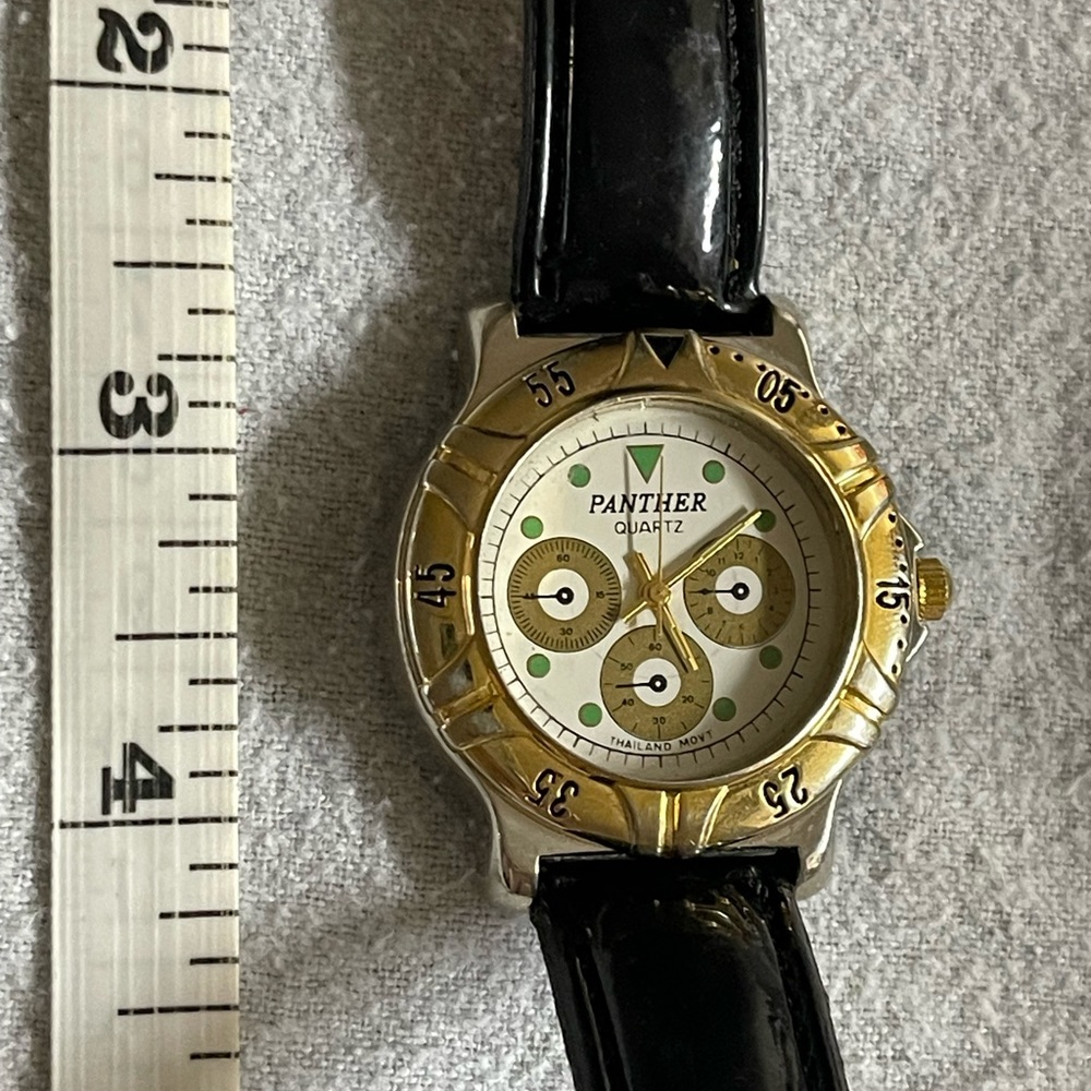Men’s pather watch